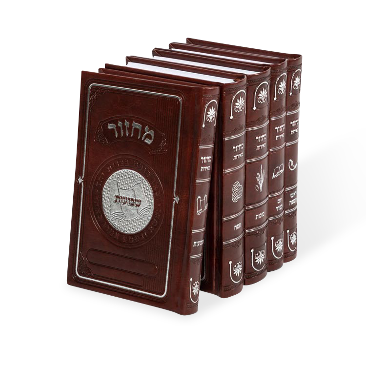 מחזור מאירות  פיו  18 ס"מ בינוני ה"כ בקופסא ספרד חום - Brown