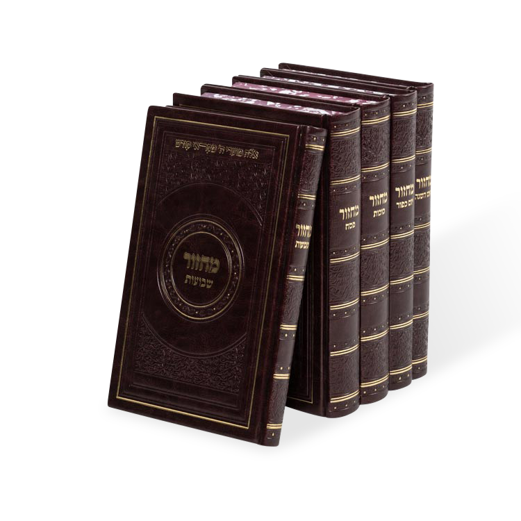 מחזור מאירות  פיו  22 ס"מ גדול ה"כ בקופסא ספרד בורדו - Maroon