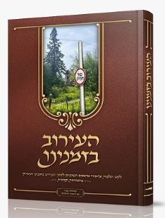 העירוב בזמנינו - לקט הלכות וביאורי מושגים בהמחשת תמונות