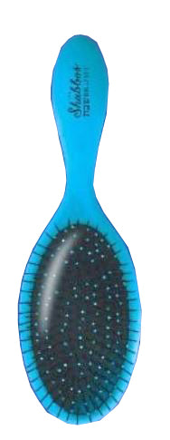 The Shabbos Brush - Light Blue