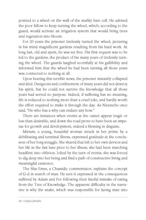 Artsctroll: Ask Rebbetzin Feige (Hardback) by Rebbitzen Feige Twerski