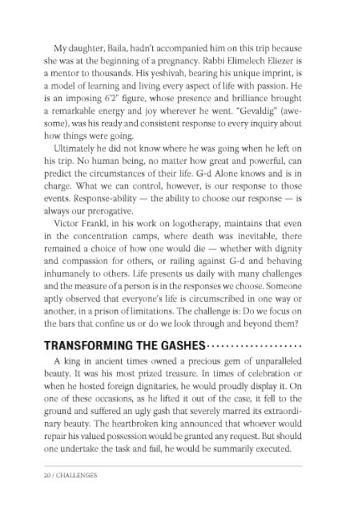 Artsctroll: Ask Rebbetzin Feige (Hardback) by Rebbitzen Feige Twerski