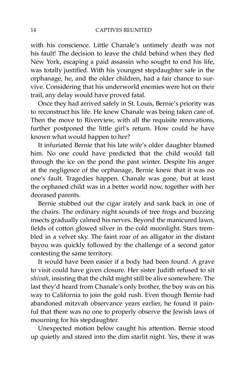 Captives Reunited - An Historical Novel by Rochel Istrin