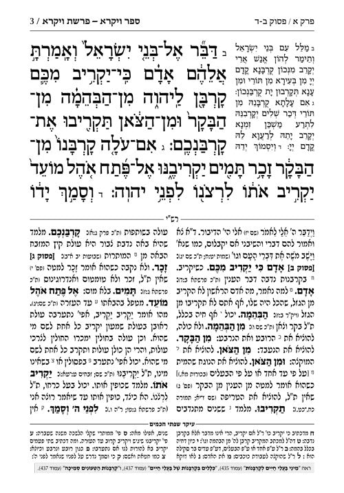 חומש תפארת מיכאל - ויקרא