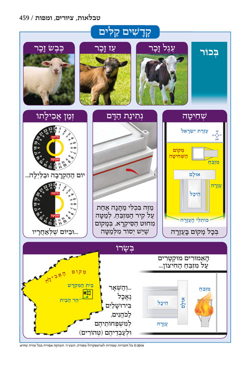 חומש תפארת מיכאל - ויקרא