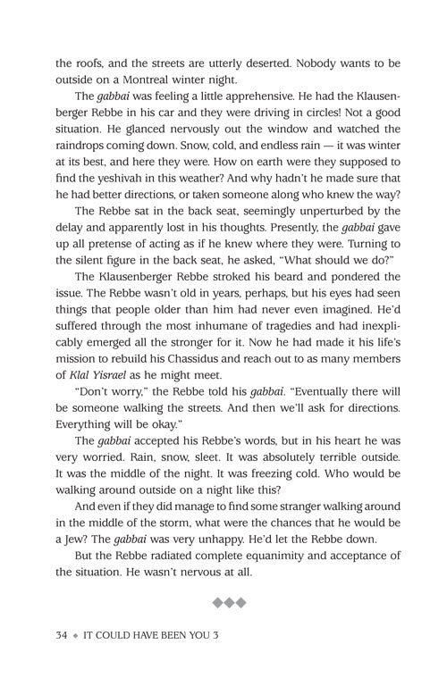 Artscroll: It Could Have Been You (Volume 3) by Nachman Seltzer