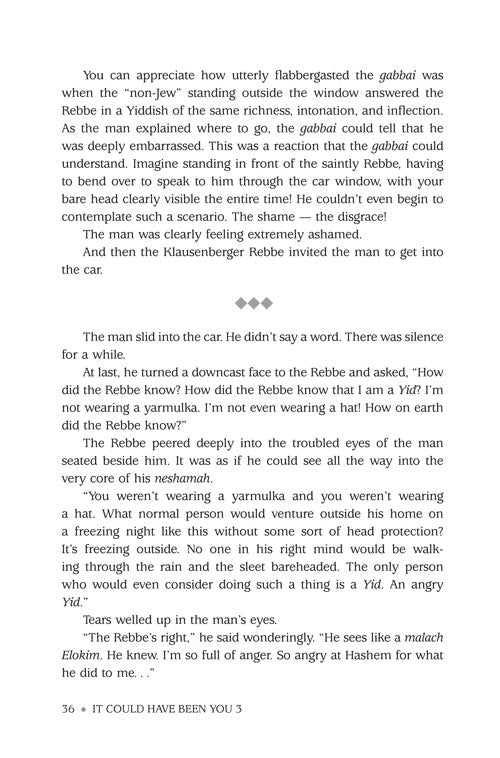 Artscroll: It Could Have Been You (Volume 3) by Nachman Seltzer