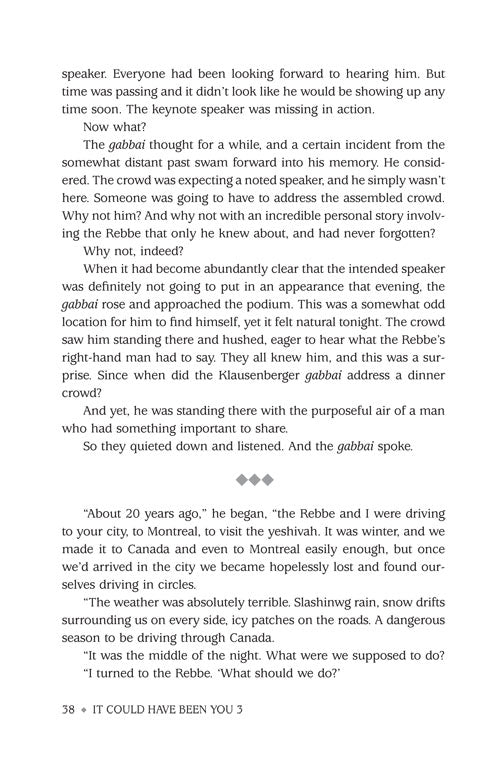 Artscroll: It Could Have Been You (Volume 3) by Nachman Seltzer