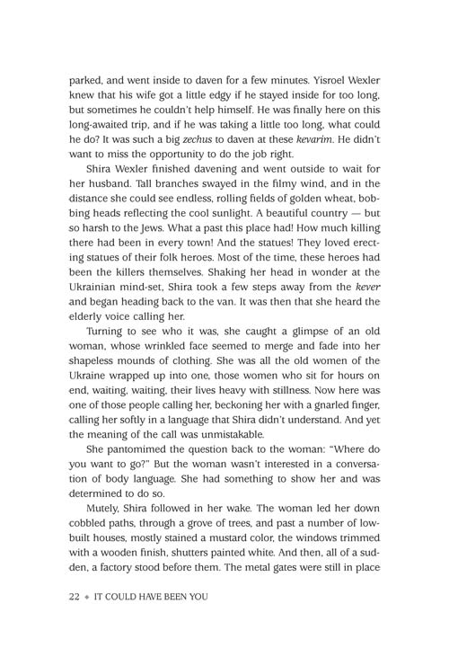 Artscroll: It Could Have Been You by Nachman Seltzer