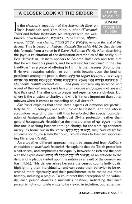 Artscroll: A Daily Dose Series 1 Vol 06 Parshas Ki Sisa - Vayikra by Rabbi Yosaif Asher Weiss