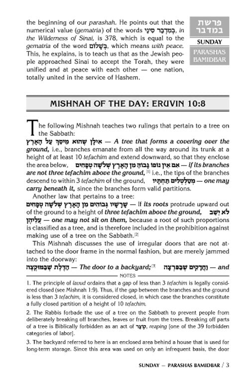 Artscroll: A Daily Dose Series 1 Vol 09 Parshas Bamidbar - Shelach by Rabbi Yosaif Asher Weiss