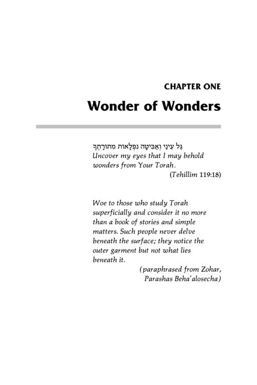 Artscroll: For Love of Torah by Rabbi Shimon Finkelman