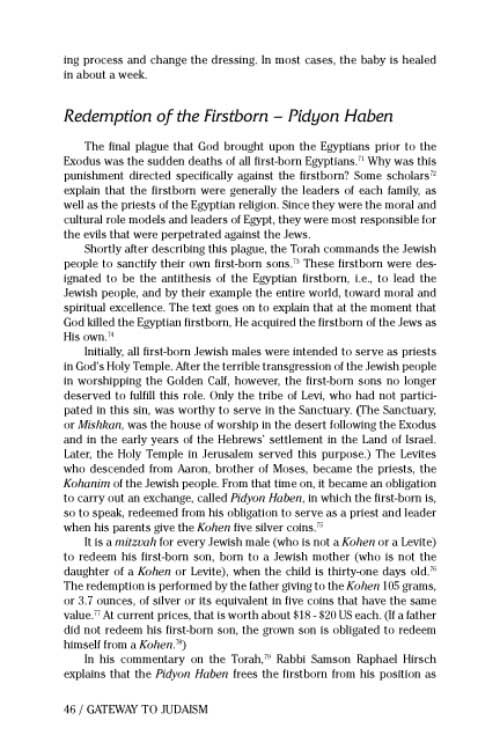 Artscroll: Gateway to Judaism by Rabbi Mordechai Becher