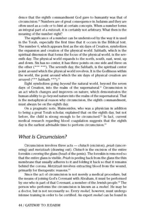 Artscroll: Gateway to Judaism by Rabbi Mordechai Becher