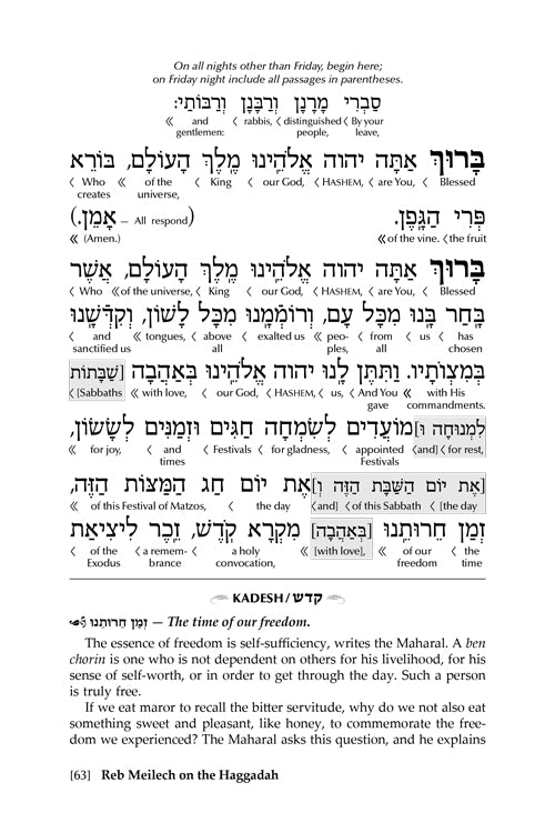 Reb Meilech on the Haggadah - Insights Stories & Commentaries