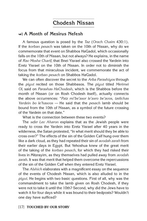 Haggadah Touched by Our Story