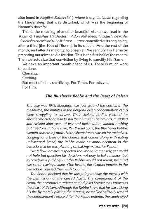 Haggadah Touched by Our Story