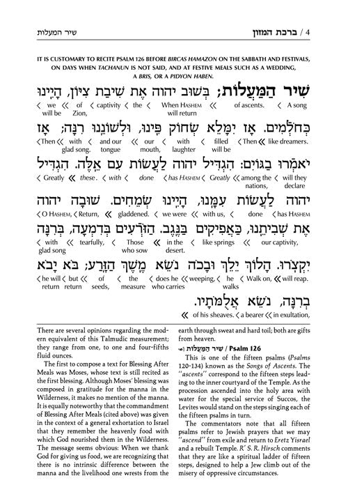 Schottenstein Ed Interlinear Birchon - White Stamped Cover