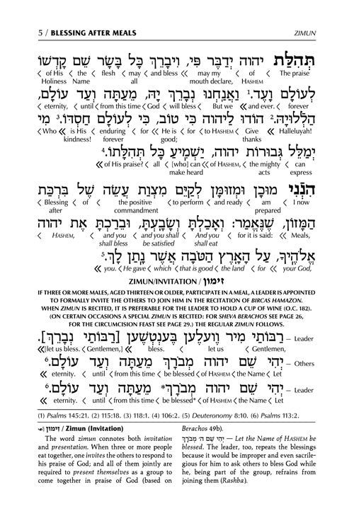 Schottenstein Ed Interlinear Birchon - White Stamped Cover