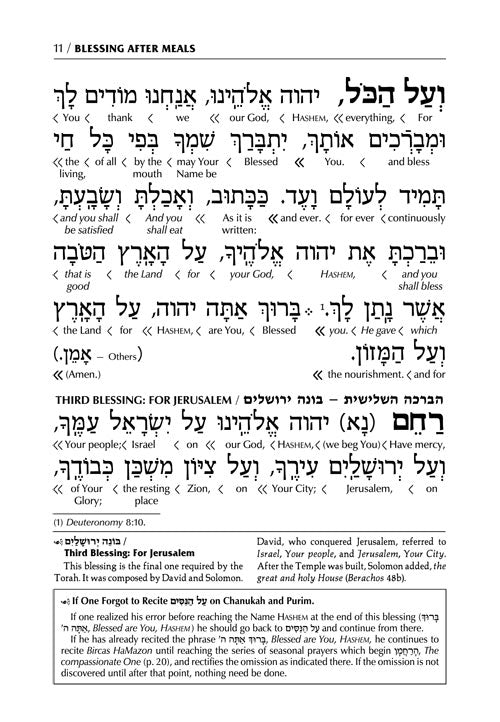 Schottenstein Ed Interlinear Birchon - White Stamped Cover