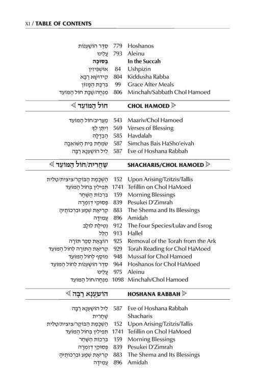 Schottenstein Interlinear Succos Machzor Full Size Ashkenaz