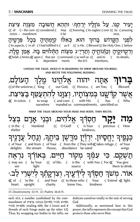Interlinear Siddur Weekday Full Size With Binding- Ashkenaz - Schottenstein Edition