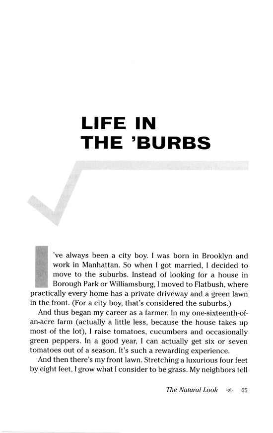 The Jewish Theory of Everything