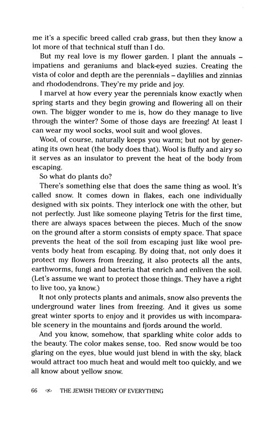 The Jewish Theory of Everything