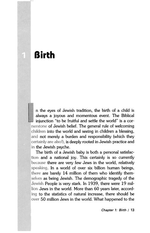 Artscroll: Living Jewish by Rabbi Berel Wein