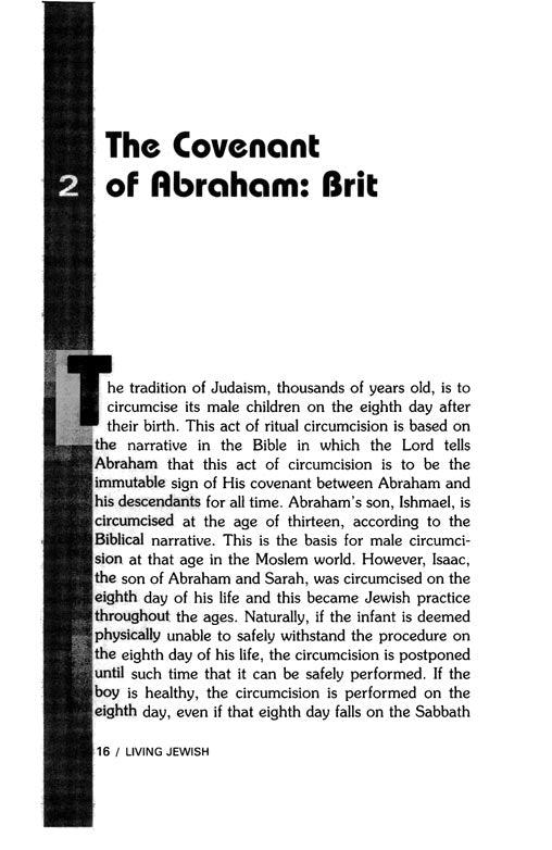 Artscroll: Living Jewish by Rabbi Berel Wein