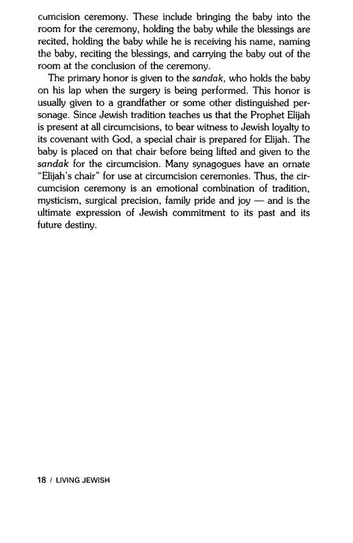 Artscroll: Living Jewish by Rabbi Berel Wein