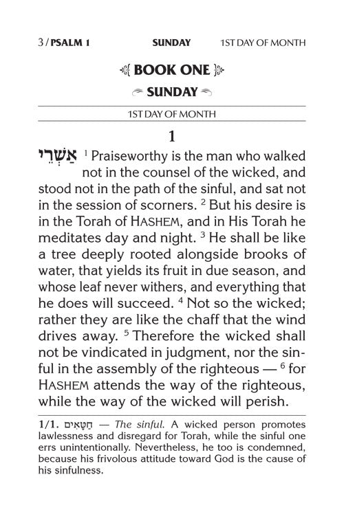 Artscroll: Large Type Tehillim / Psalms Full Size