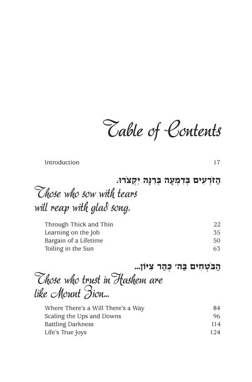 Artscroll: Mountain Climbers 2 by Malky Feig