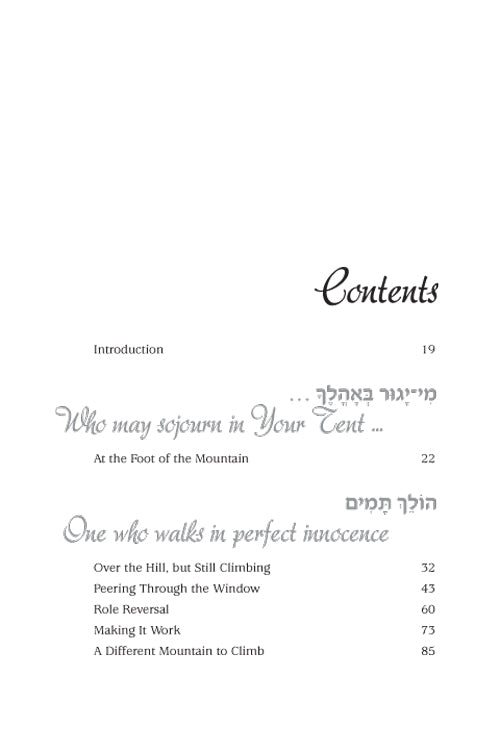 Artscroll: Mountain Climbers by Malky Feig