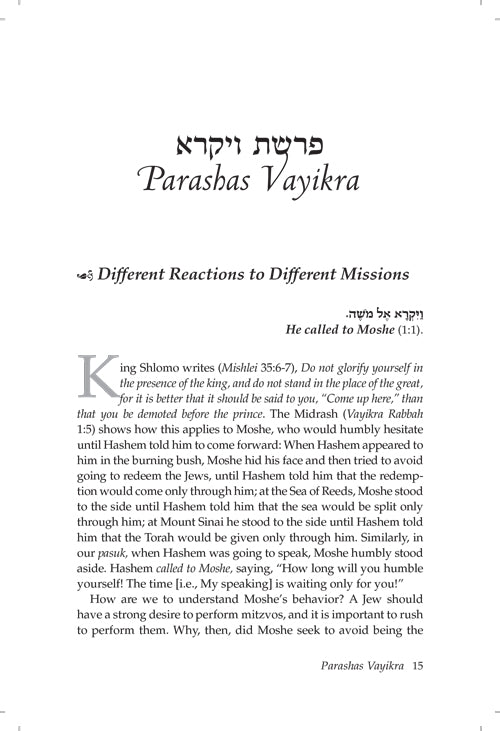 Rav Moshe on Chumash Vol 2, Vayikra - Bamidbar - Devarim