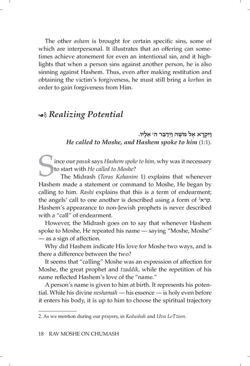 Rav Moshe on Chumash Vol 2, Vayikra - Bamidbar - Devarim