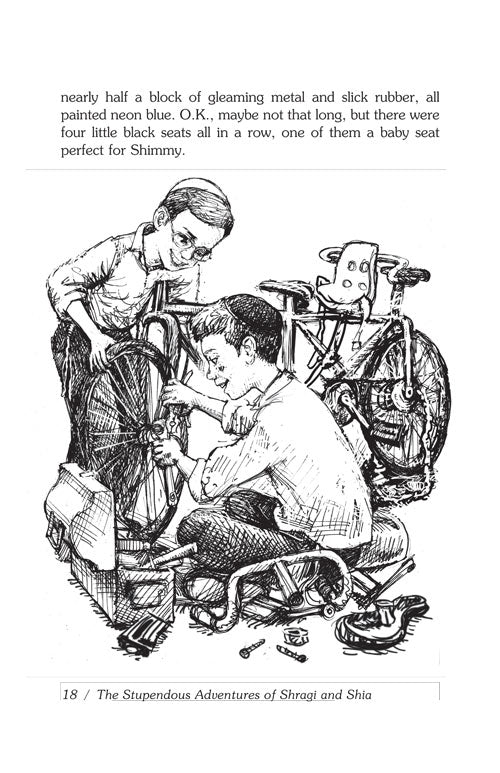 the Stupendous Adventures of Shragi & Shia