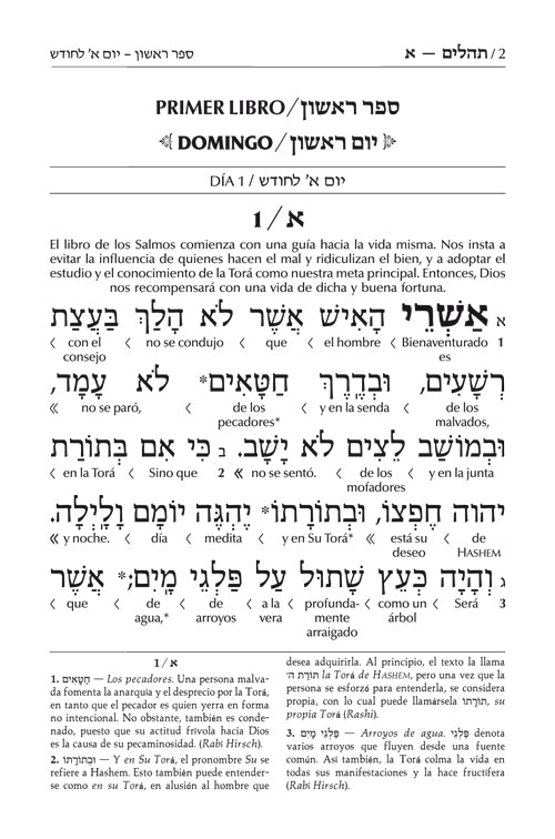 Spanish Interlinear Tehillim - The Wengrowsky Edition