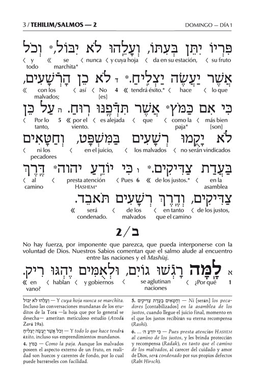 Spanish Interlinear Tehillim - The Wengrowsky Edition