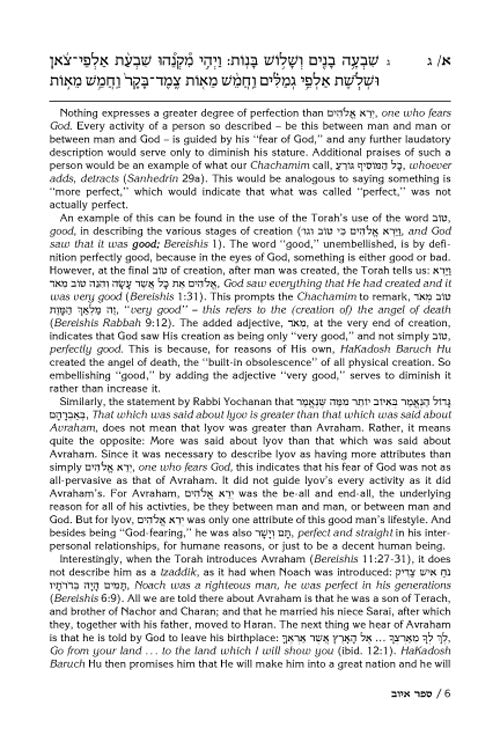 Artscroll: Rav Schwab on Iyov by Rabbi Shimon Schwab