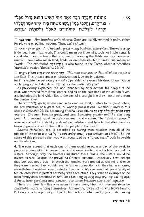 Artscroll: Rav Schwab on Iyov by Rabbi Shimon Schwab