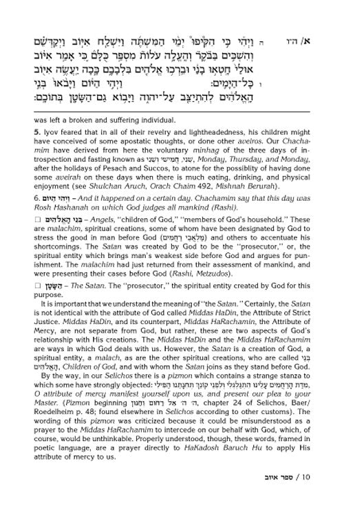 Artscroll: Rav Schwab on Iyov by Rabbi Shimon Schwab