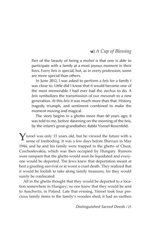 Artscroll: In The Splendor of The Maggid by Rabbi Pesach J. Krohn