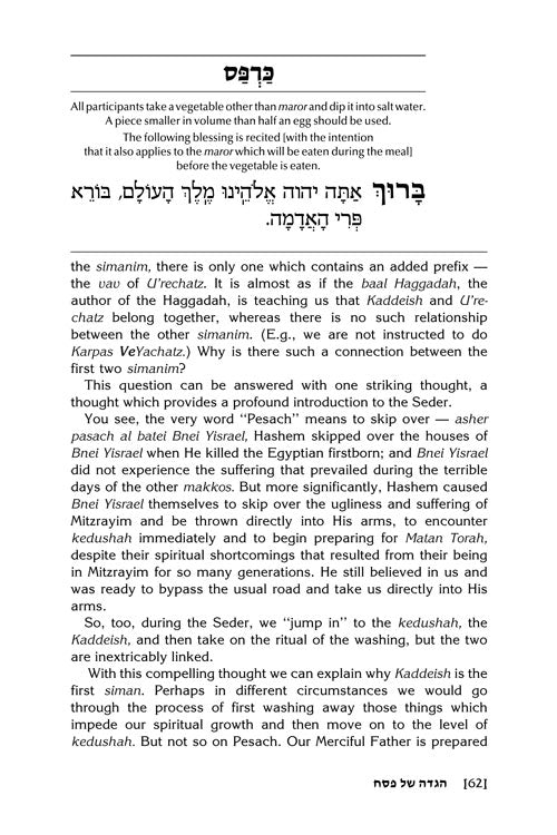 Artscroll: Touched by The Seder by Rabbi Yechiel Spero