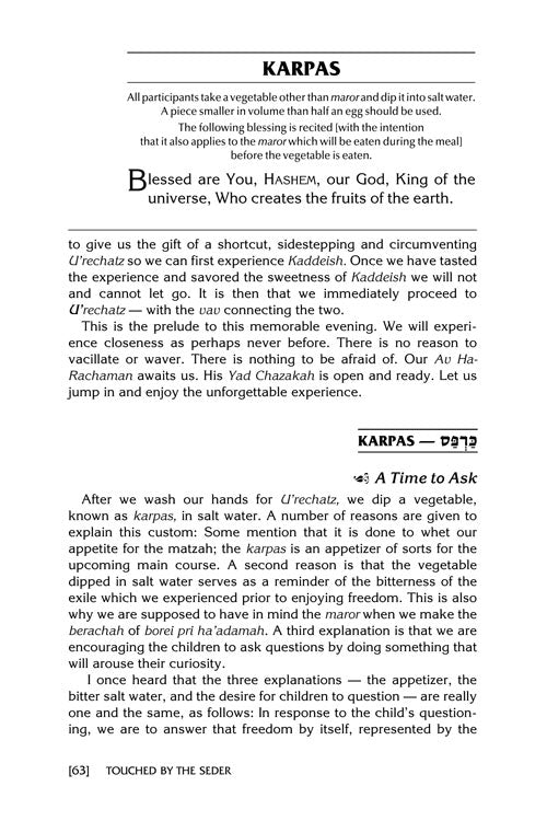 Artscroll: Touched by The Seder by Rabbi Yechiel Spero