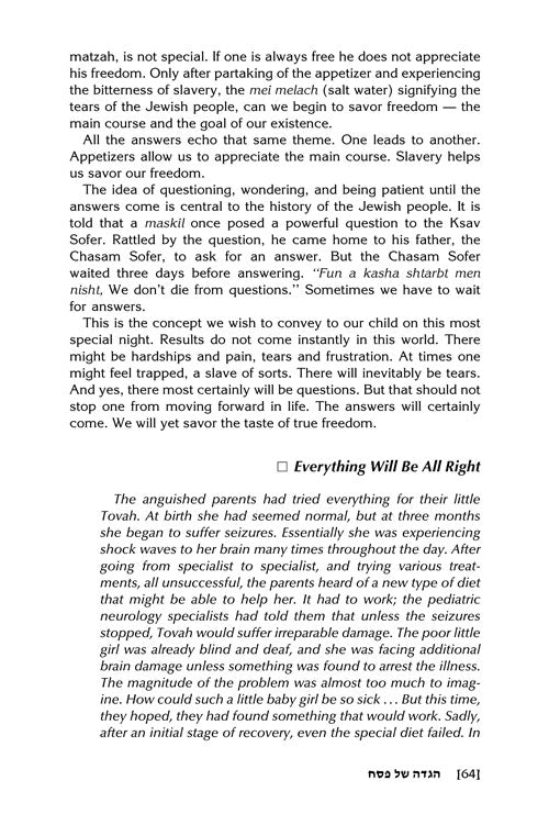 Artscroll: Touched by The Seder by Rabbi Yechiel Spero