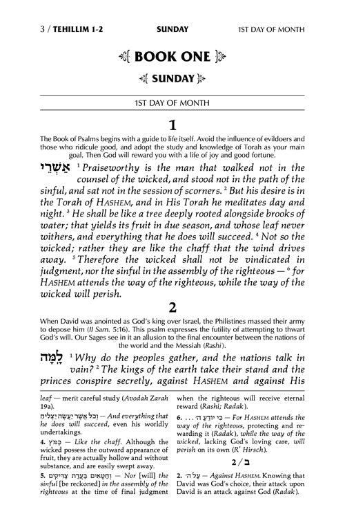 Tehillim Full-Size Hebrew/English - Blue Lagoon Signature Leather Collection