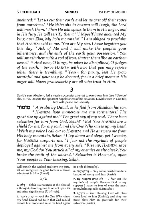 Tehillim Full-Size Hebrew/English - Desert Camel Signature Leather Collection