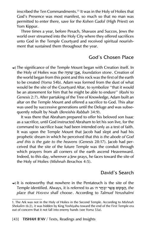 Artscroll: Tisha B'av: Texts, Readings and Insights by Rabbi Avrohom Chaim Feuer