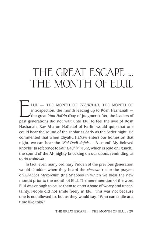 Artscroll: A Touch of Purity by Rabbi Yechiel Spero